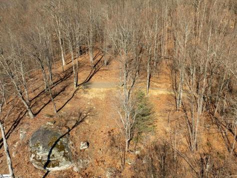 225 Lost Trail Drive Landrum SC 29356