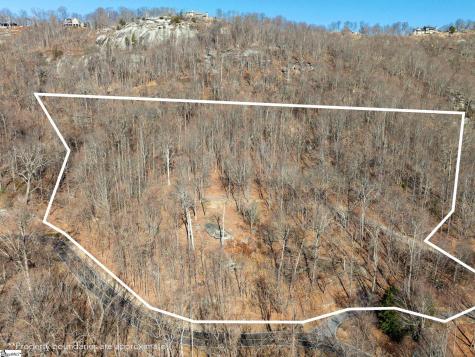 225 Lost Trail Drive Landrum SC 29356