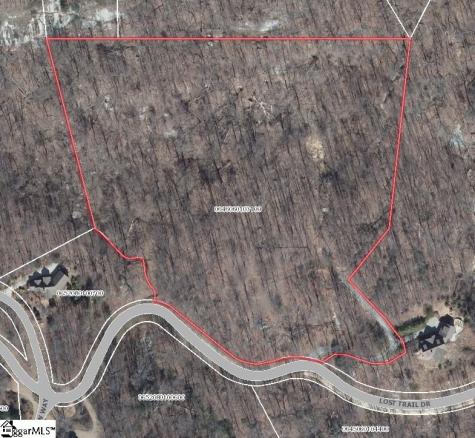 225 Lost Trail Drive Landrum SC 29356