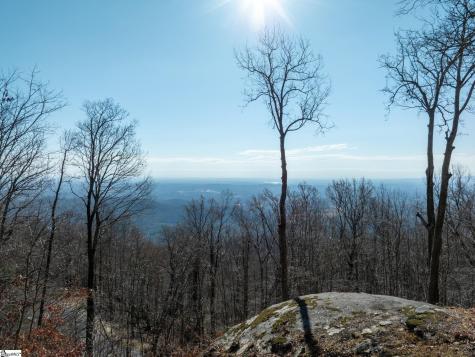 225 Lost Trail Drive Landrum SC 29356