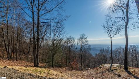 225 Lost Trail Drive Landrum SC 29356
