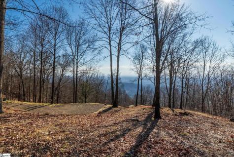 225 Lost Trail Drive Landrum SC 29356