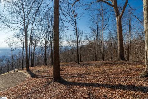 225 Lost Trail Drive Landrum SC 29356