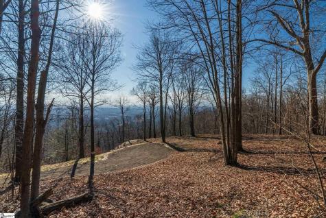 225 Lost Trail Drive Landrum SC 29356