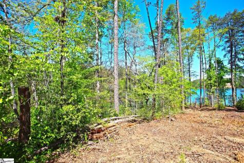 155 Bailey Street Six Mile SC 29682