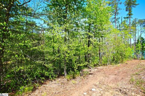 155 Bailey Street Six Mile SC 29682