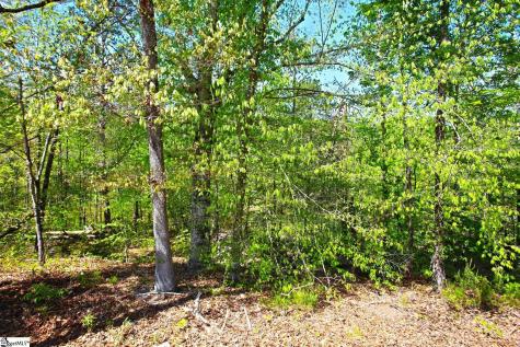 155 Bailey Street Six Mile SC 29682