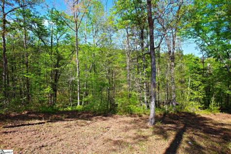 155 Bailey Street Six Mile SC 29682