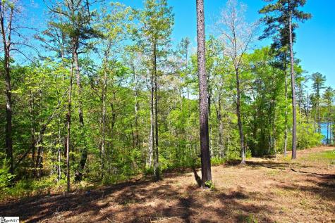 155 Bailey Street Six Mile SC 29682