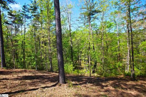 155 Bailey Street Six Mile SC 29682