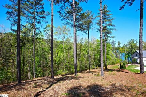 155 Bailey Street Six Mile SC 29682