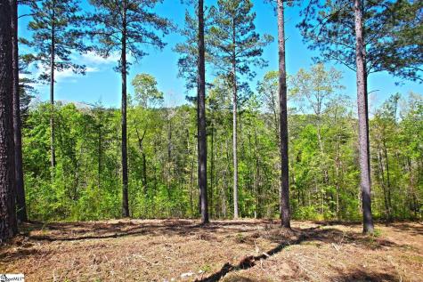 155 Bailey Street Six Mile SC 29682