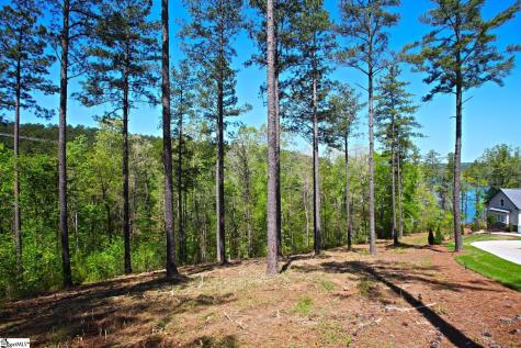 155 Bailey Street Six Mile SC 29682