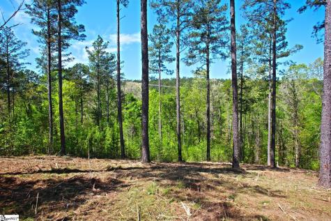 155 Bailey Street Six Mile SC 29682