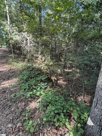 00 Keeler Bridge Road Marietta SC 29661