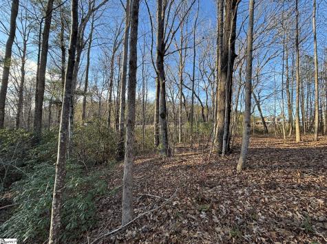 5335 Pumpkintown Highway Pickens SC 29671