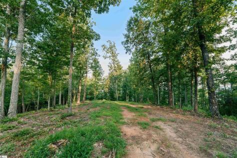 200 Chestnut Mountain Road Travelers Rest SC 29690