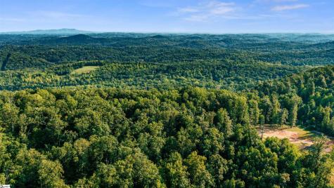 200 Chestnut Mountain Road Travelers Rest SC 29690