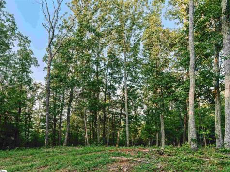 200 Chestnut Mountain Road Travelers Rest SC 29690