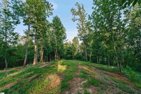 200 Chestnut Mountain Road Travelers Rest SC 29690