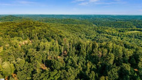 200 Chestnut Mountain Road Travelers Rest SC 29690