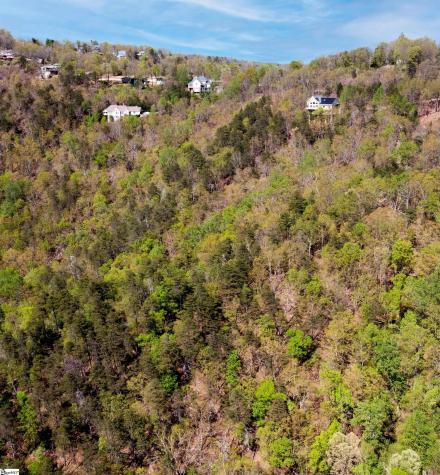 Laurel Ridge Road Greenville SC 29609