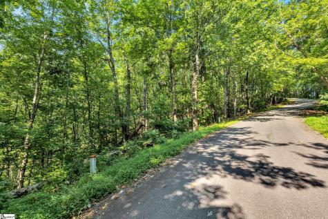 00 Old Chapman Trail Pickens SC 29671