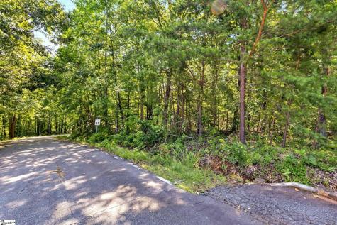 00 Old Chapman Trail Pickens SC 29671
