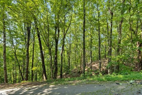 00 Old Chapman Trail Pickens SC 29671