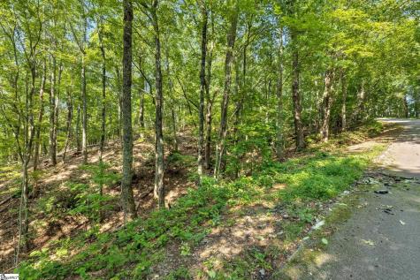 00 Old Chapman Trail Pickens SC 29671