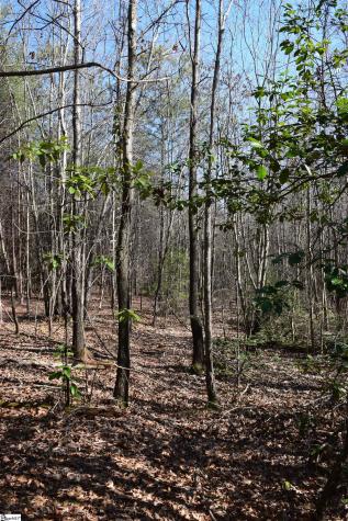 200 Sangamo Road Pickens SC 29671