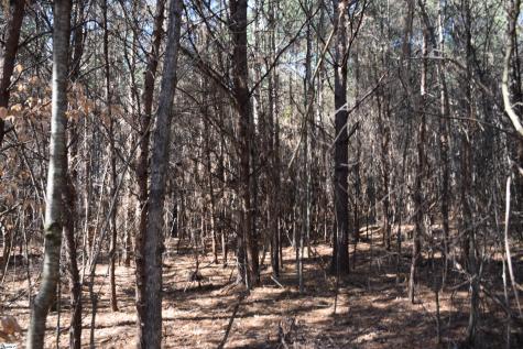 200 Sangamo Road Pickens SC 29671