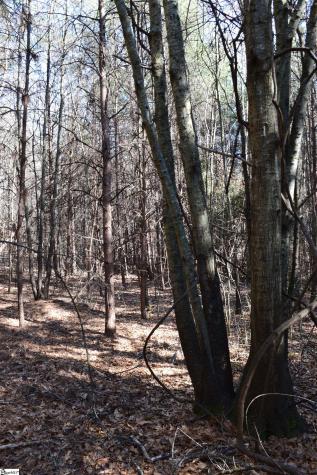 200 Sangamo Road Pickens SC 29671