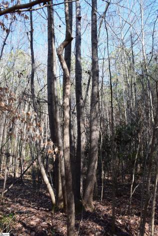 200 Sangamo Road Pickens SC 29671