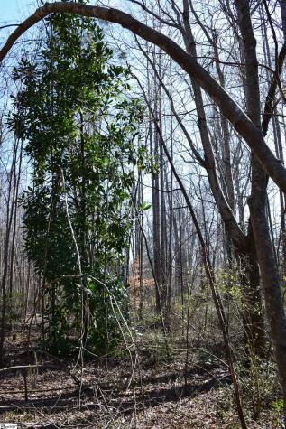 200 Sangamo Road Pickens SC 29671