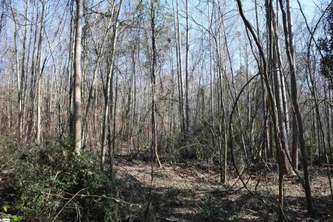 200 Sangamo Road Pickens SC 29671