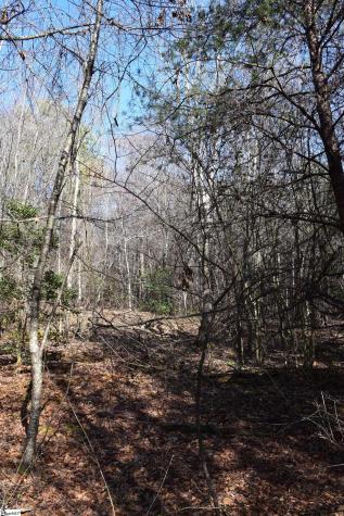 200 Sangamo Road Pickens SC 29671