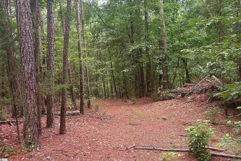 0 Harris Springs Road Cross Hill SC 29332