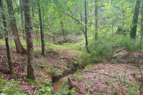 0 Harris Springs Road Cross Hill SC 29332