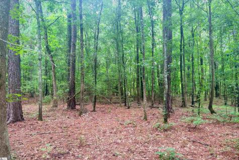 0 Harris Springs Road Cross Hill SC 29332