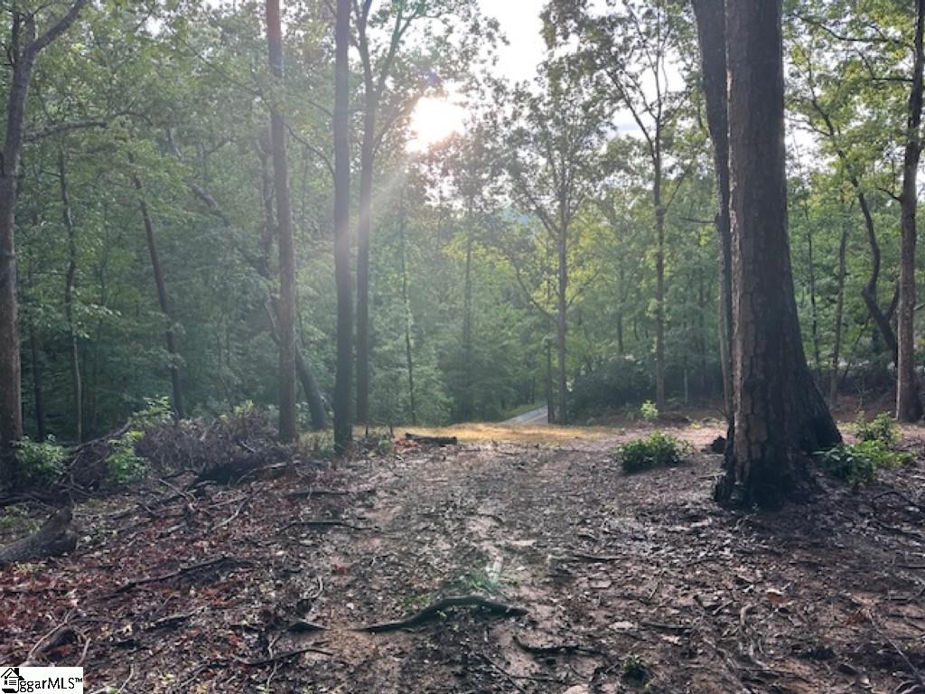 00 E Lakeshore Drive Landrum SC 29356