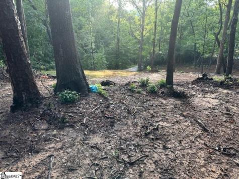 00 E Lakeshore Drive Landrum SC 29356