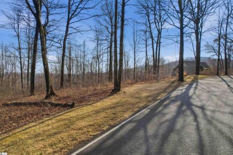 116 Witch Hazel Trail Landrum SC 29356