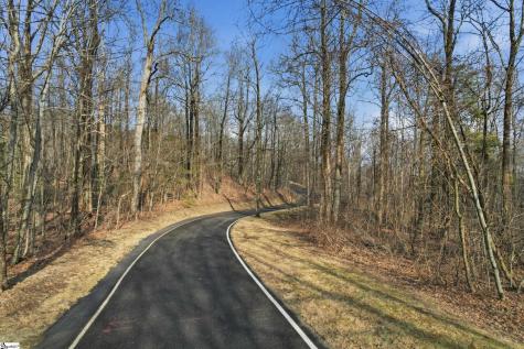 116 Witch Hazel Trail Landrum SC 29356