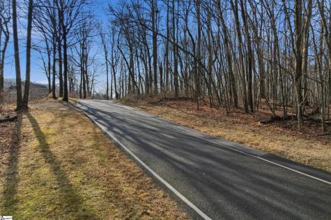 116 Witch Hazel Trail Landrum SC 29356
