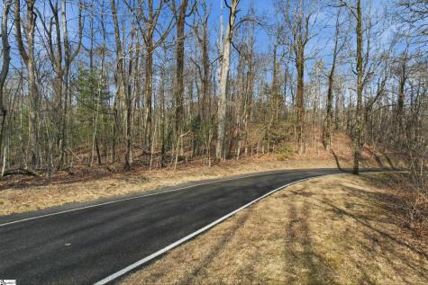 116 Witch Hazel Trail Landrum SC 29356