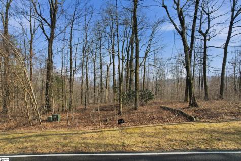 116 Witch Hazel Trail Landrum SC 29356
