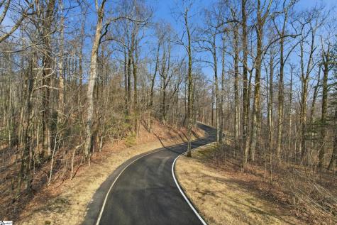 116 Witch Hazel Trail Landrum SC 29356