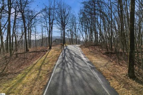 116 Witch Hazel Trail Landrum SC 29356