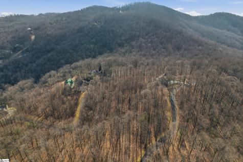 116 Witch Hazel Trail Landrum SC 29356